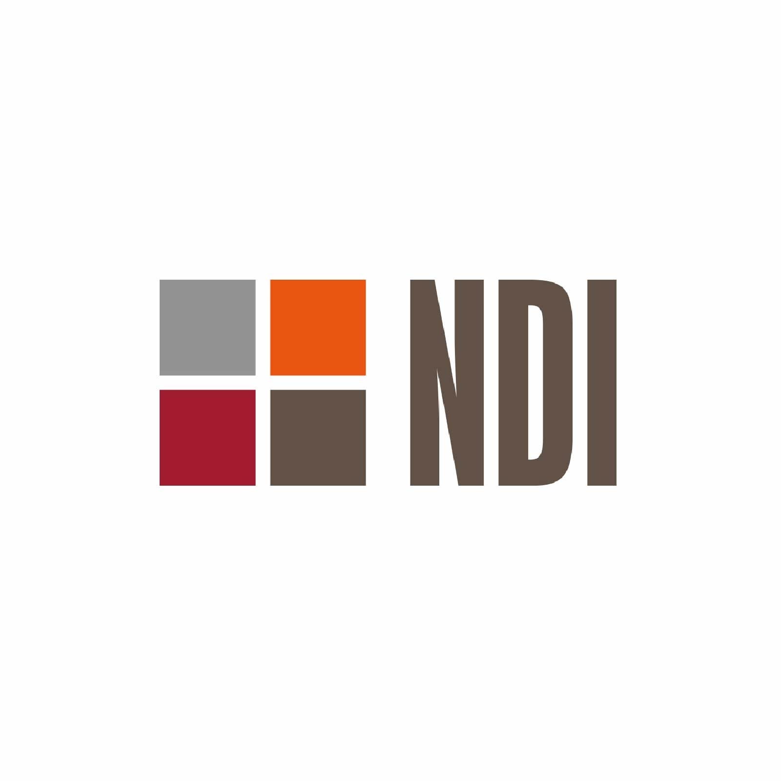 Logo NDI